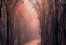 足球直播在线观看免费-泰国羽毛球队激情逆袭，日本羽毛球队险遭阻击——陶菲克豪取“帽子戏法”的精彩瞬间