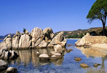 足球直播-韩国横扫哥伦比亚，莱万一己之力扛起全队